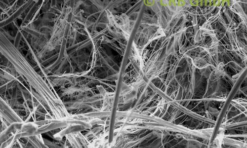 Amianto crisotilo immagine SEM in sigillo piatto | © CRB Analysis Service GmbH