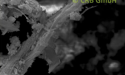 Imagen MEB amianto crisotilo en masilla de ventana | © CRB Analysis Service GmbH